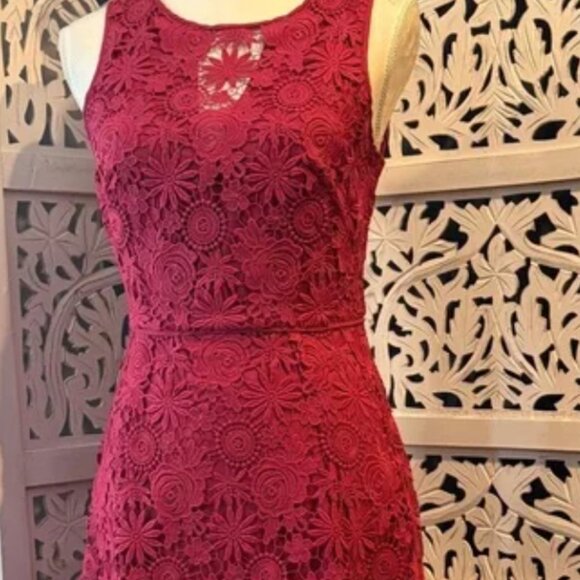 White house Black market Elegant Red Lace Dress - Picture 1 of 8